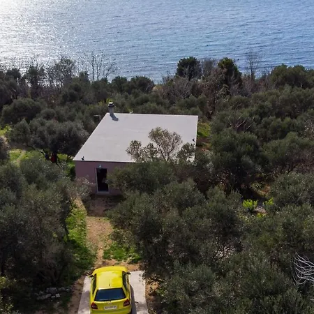 House Oceanne 30m From The With Sea View Holiday home *